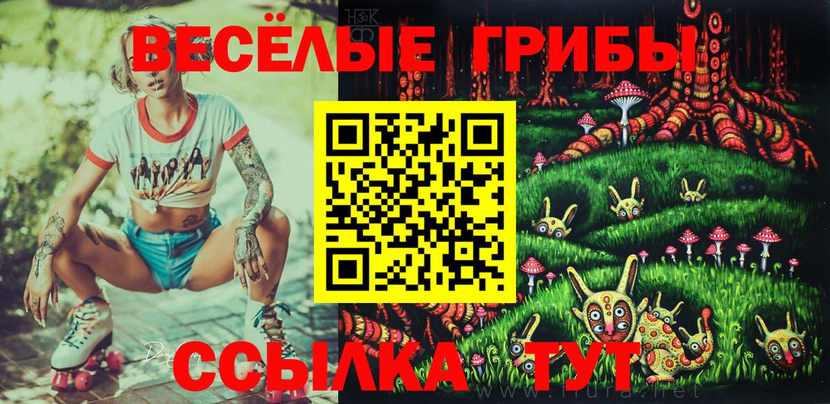 Псилоцибиновые грибы GOLDEN TEACHER  Вход с VPN  купить   Казань 